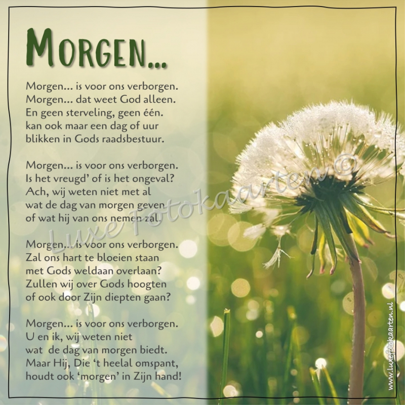 Gedichten - Morgen